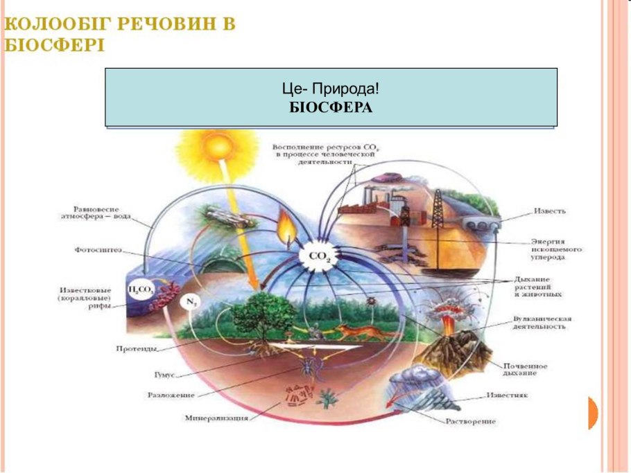 Схема круговоротов ахота в биосфере