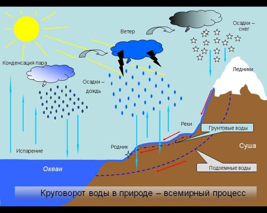 Схема круговорота углерода в биосфере схема