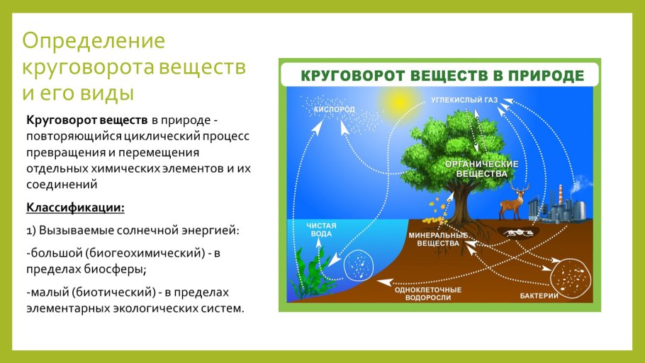 Схема круговорота углерода