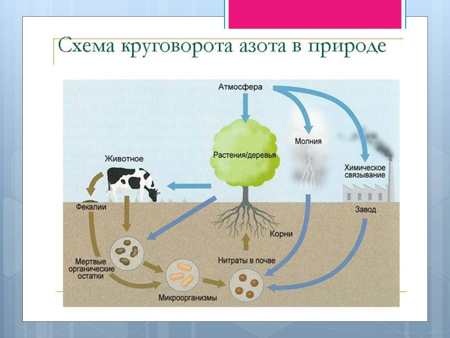 Геохимический цикл углерода