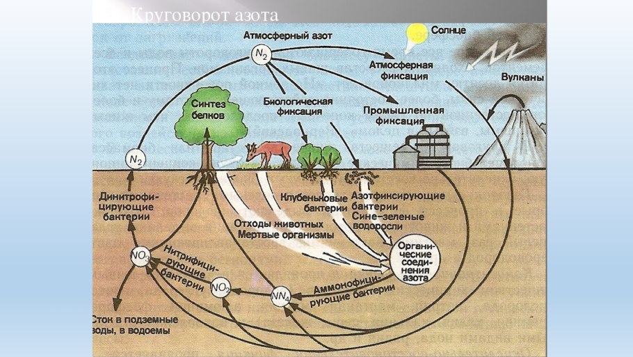 Геохимический цикл углерода