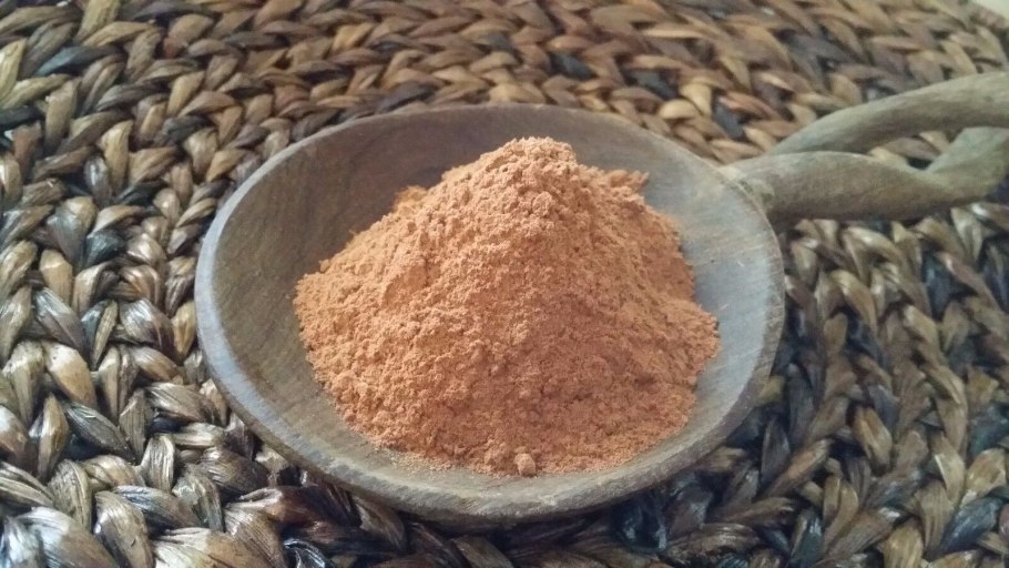 Excoecaria agallocha