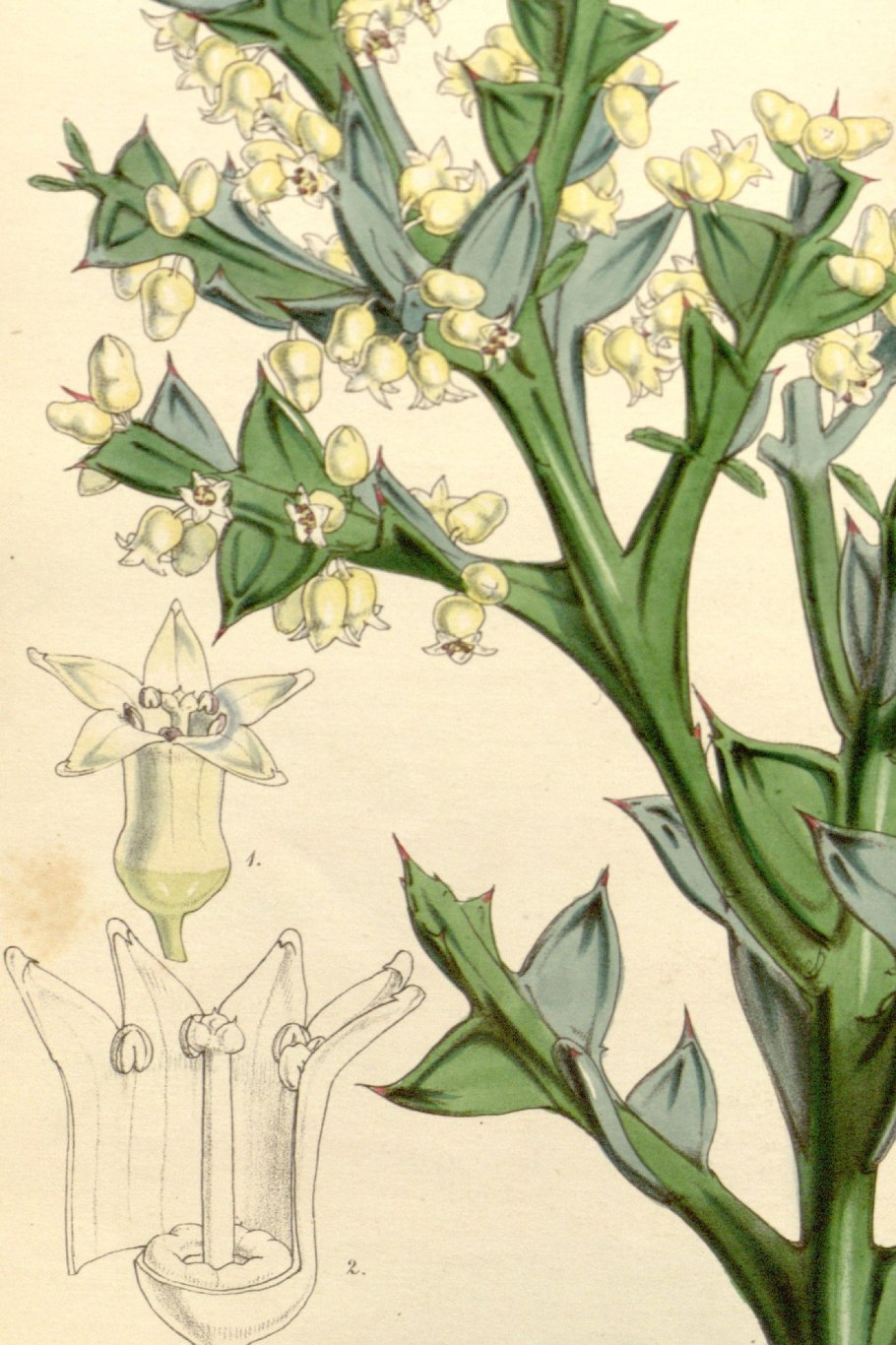 Путешествие друзей