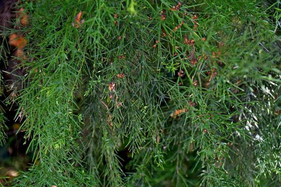 Дружный коллектив