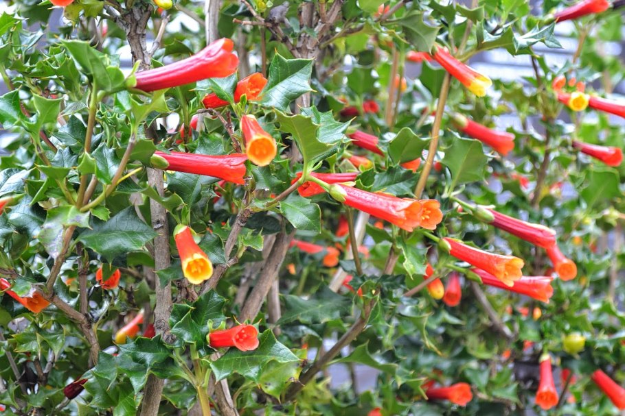 Группа женщин