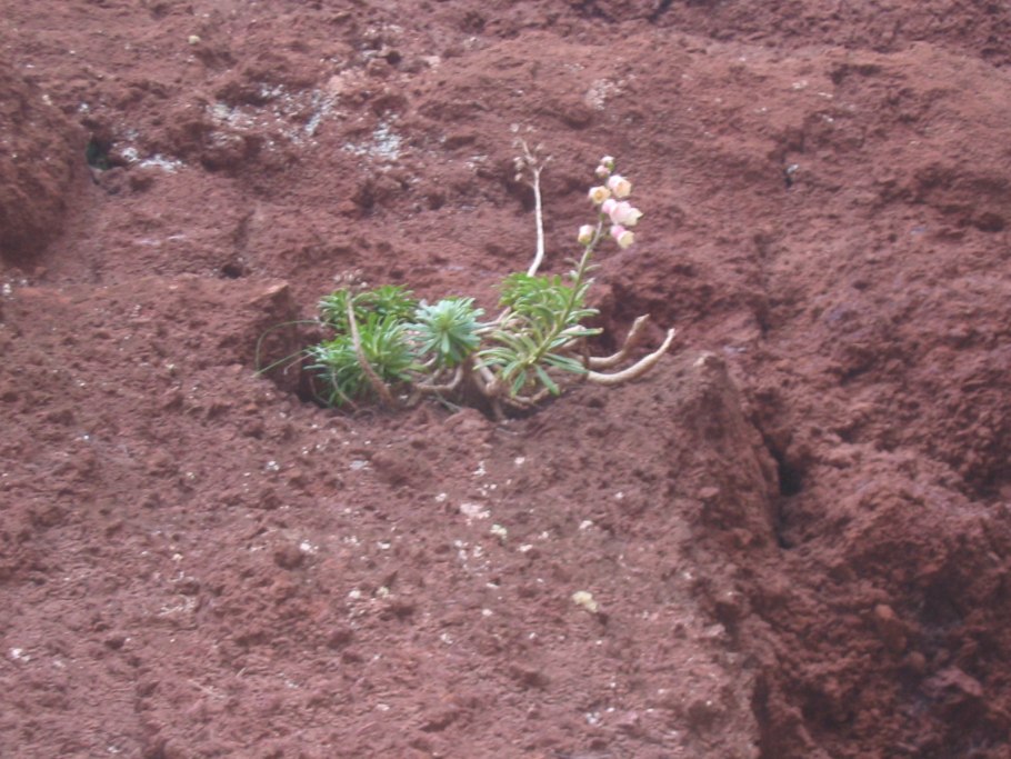 Марина Азорина Азарина Тюмень