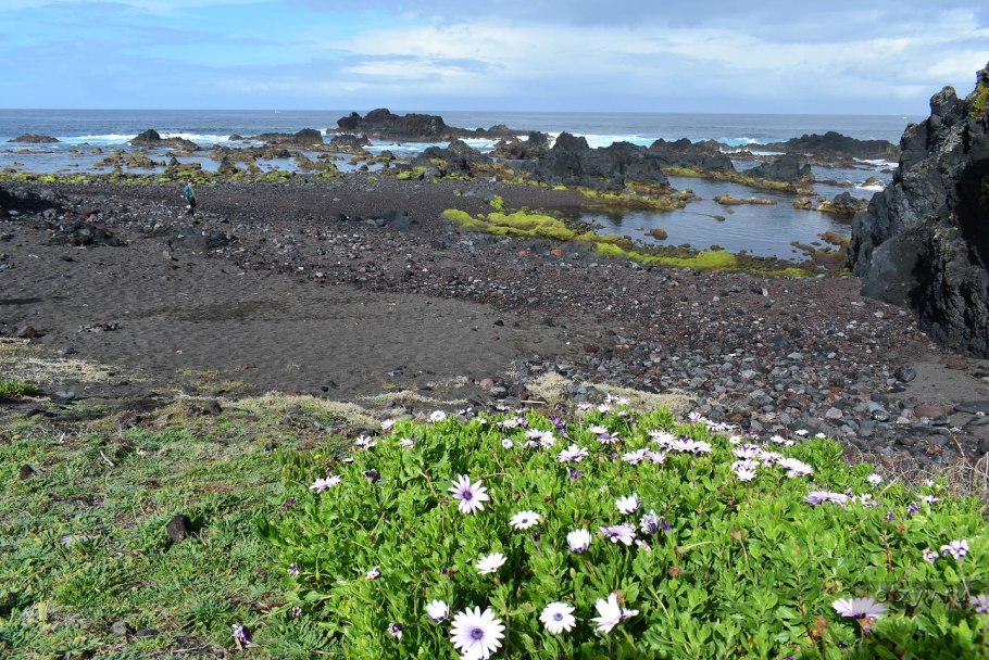 Амина Волкова Владикавказ