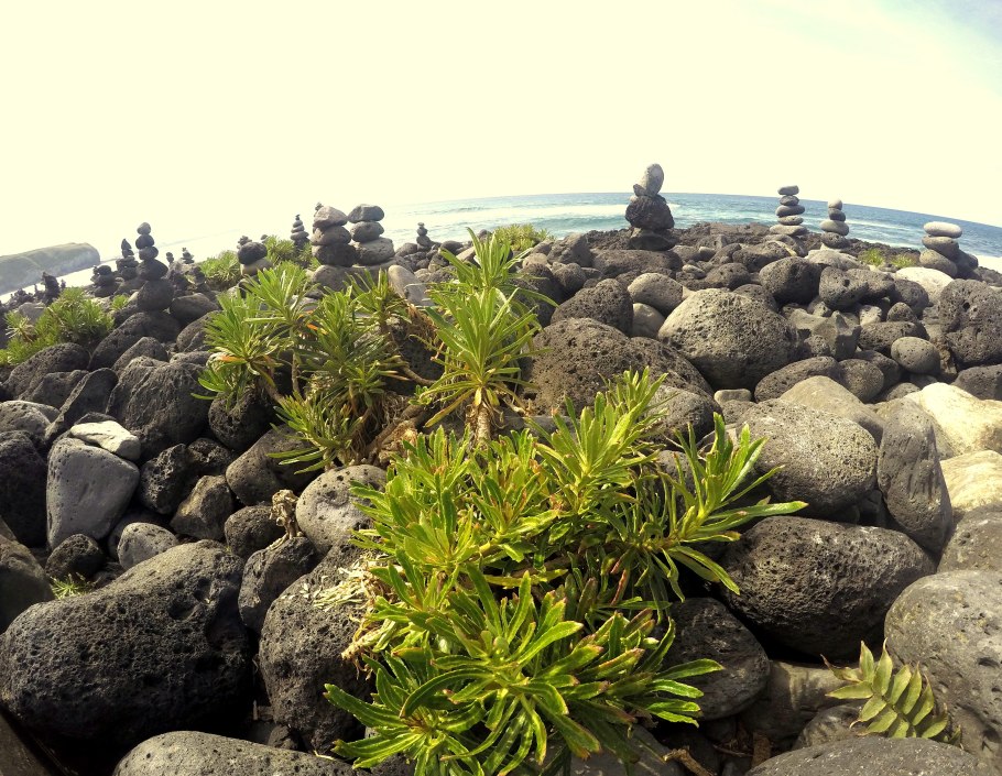 Азорина Анастасия Вячеславовна Иркутск