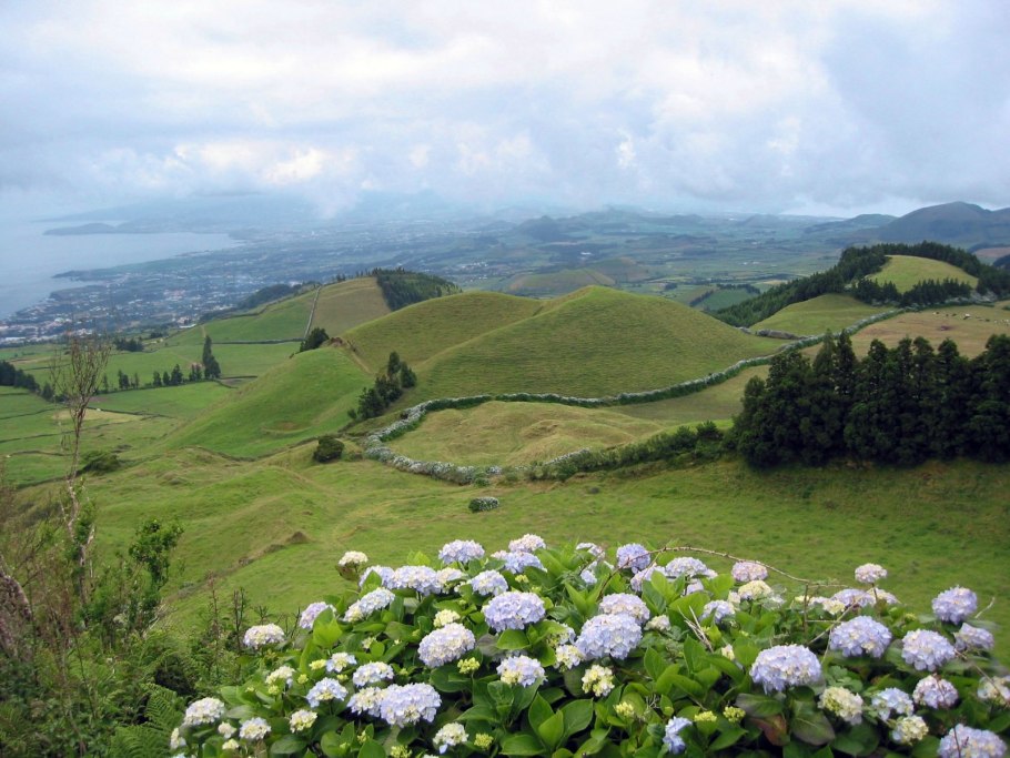 Остров сан мигель азорские острова