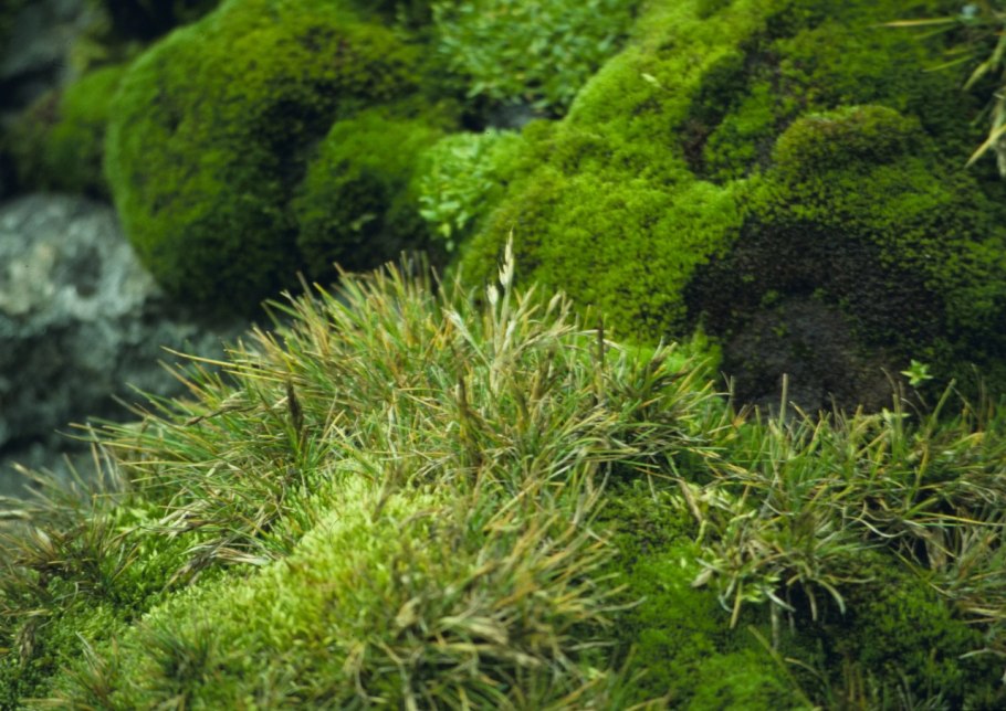 Антарктида Экспедиция