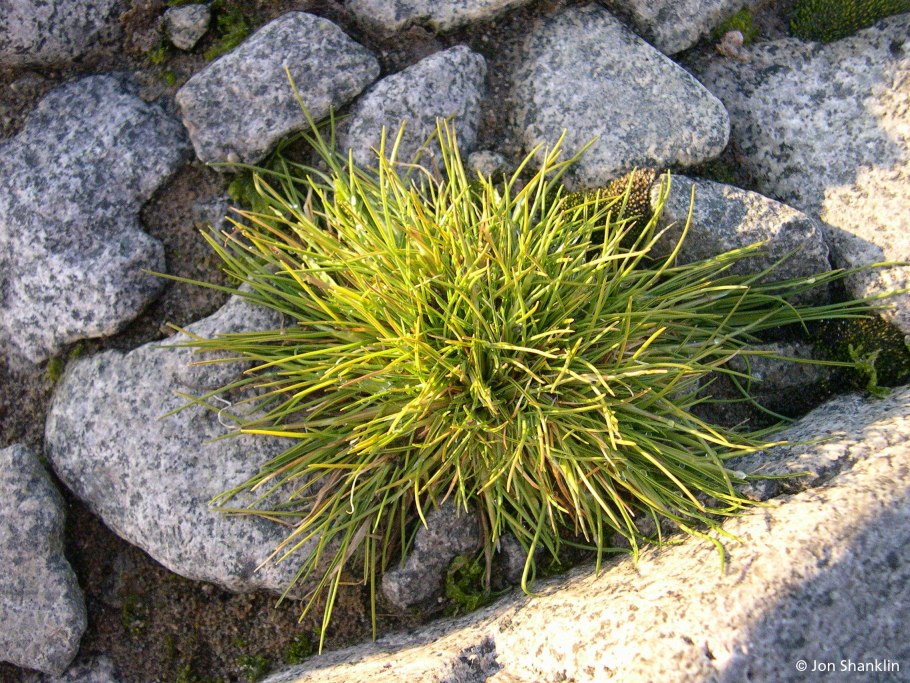 Горы Антарктиды фото