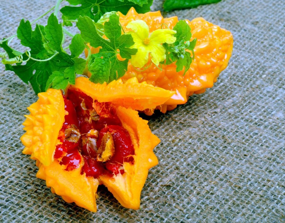 Момордика кохинхинская семена