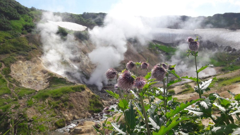 Долина гейзеров на камчатке
