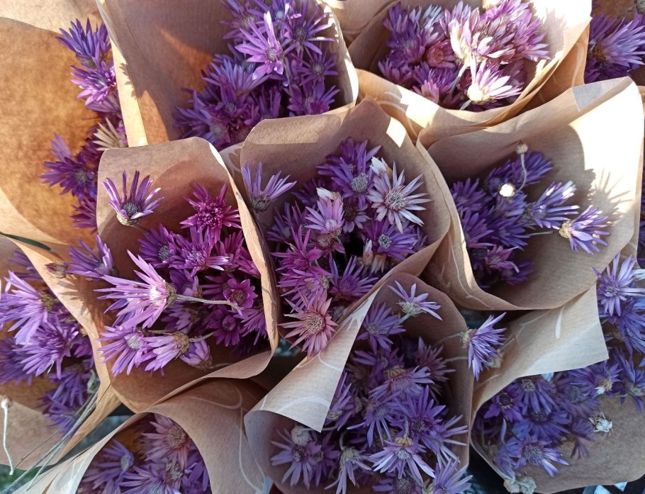 Сухоцвет Вейник