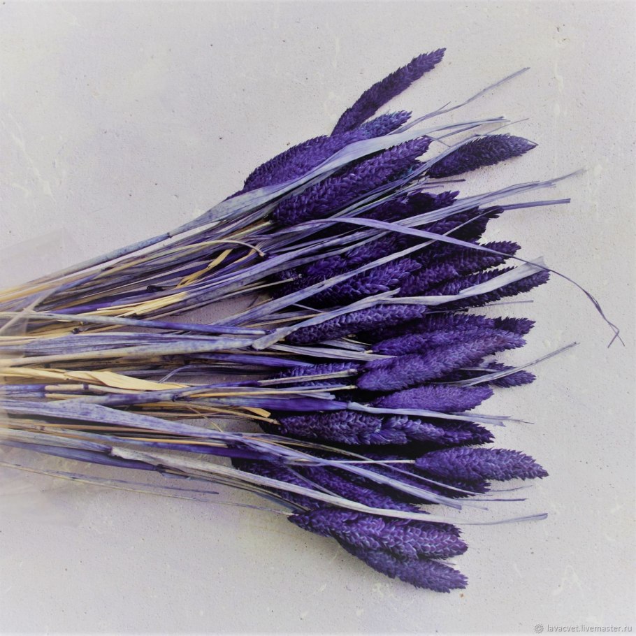 Лаванда - букет сухоцветов