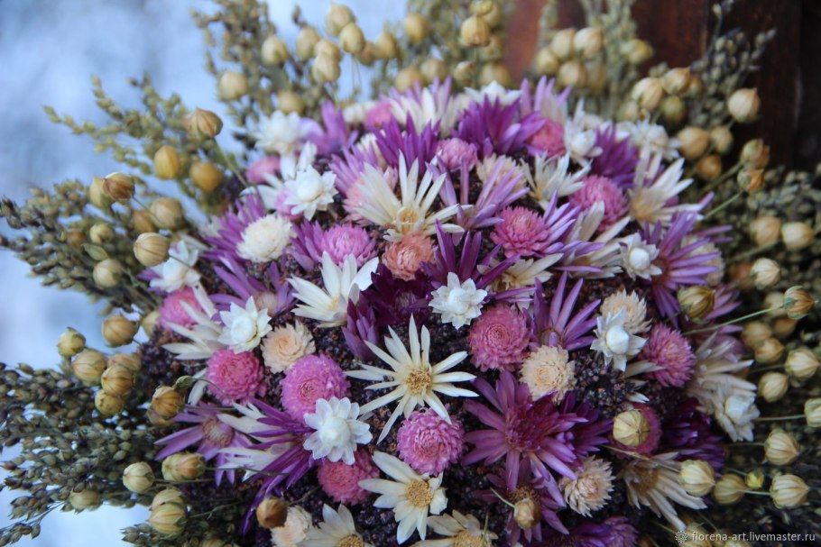 Сухоцвет статица