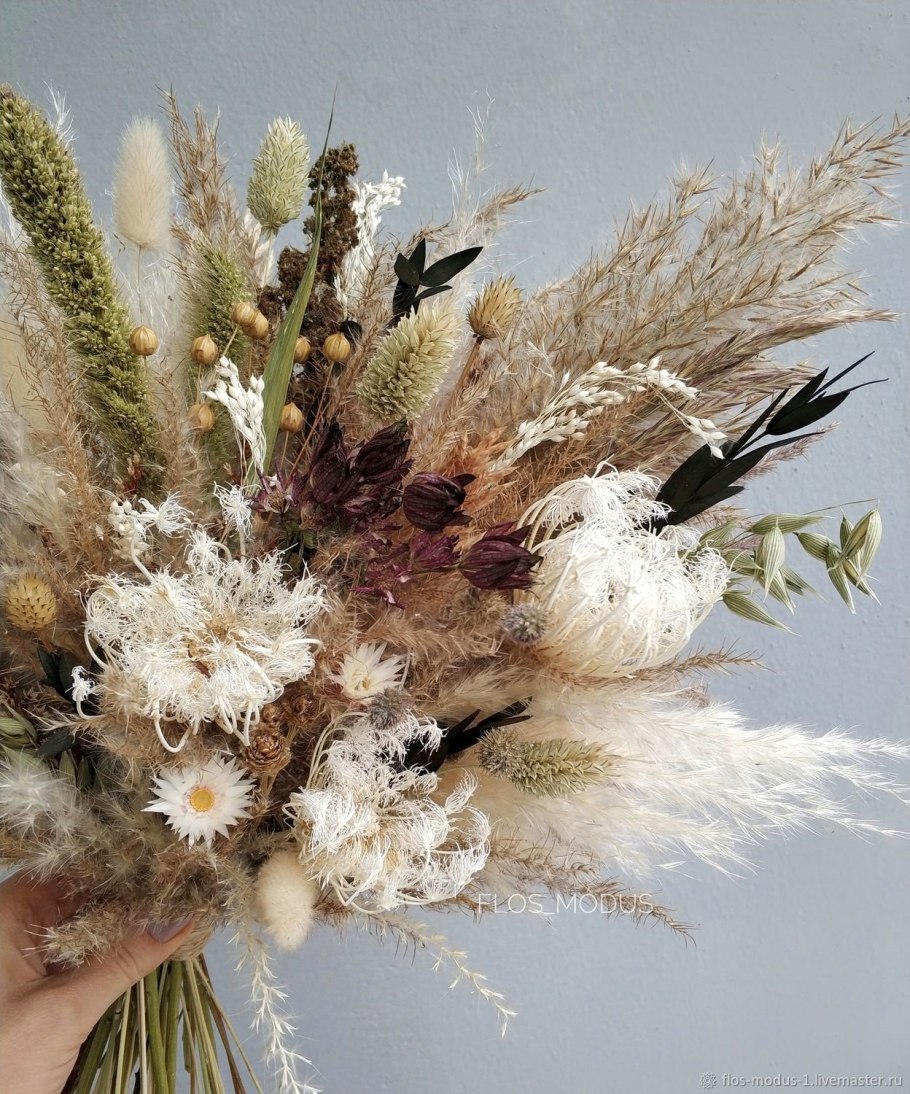 Брумус сухоцвет