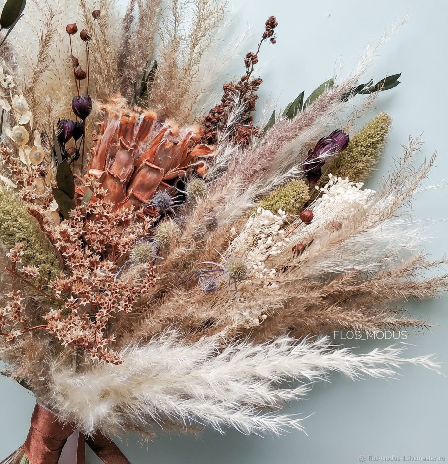 Картамус сухоцвет