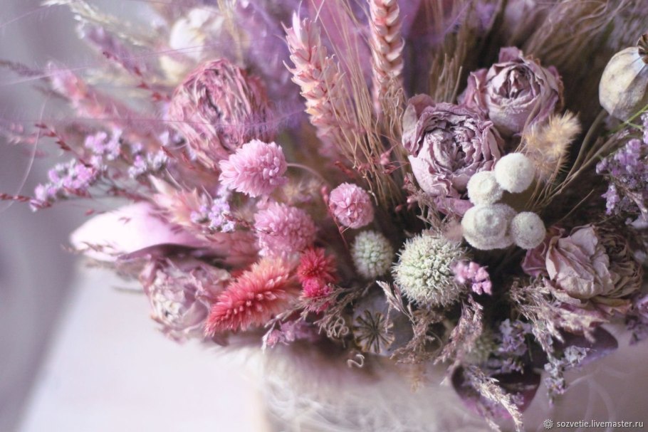 Скабиоза сухоцвет