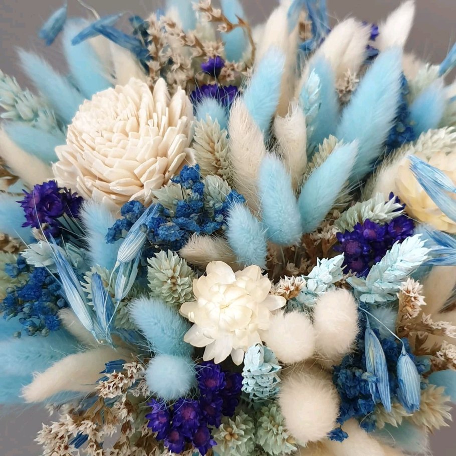 Синеголовник сушеный