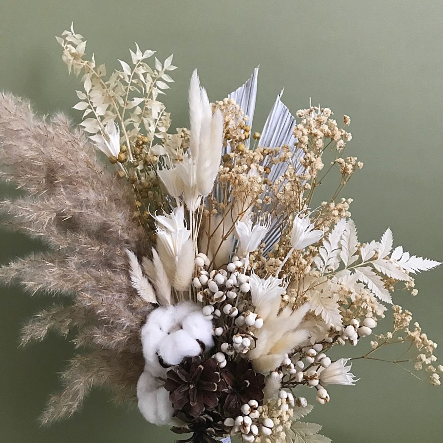 Ксерантемум сухоцветник