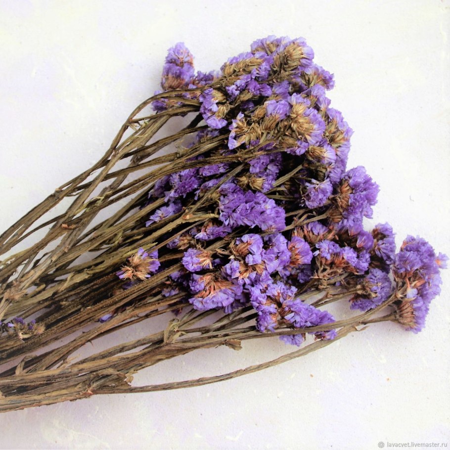 Необычные сухоцветы