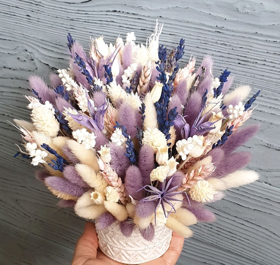 Лагурус фалярис