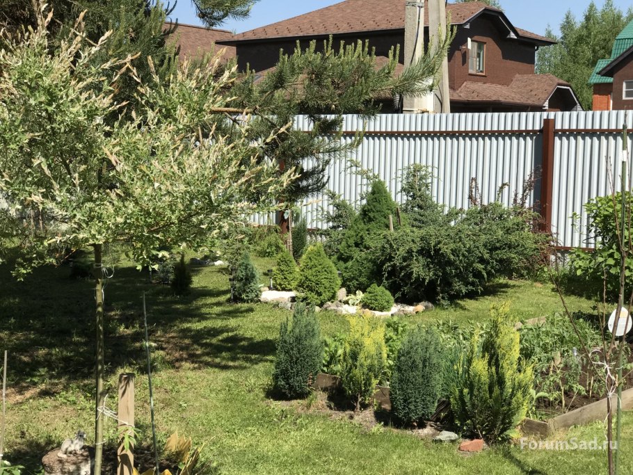 Дизайн сада