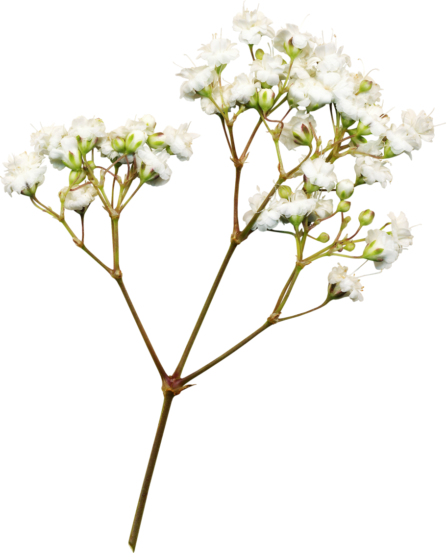 Плитка Metafor Decor Gris 50x50 novogres