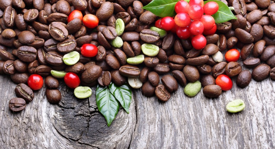 Кофейное дерево