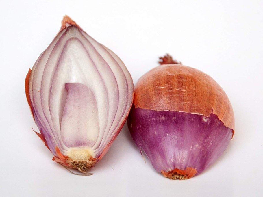 Лук репчатый