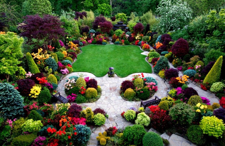 Декоративные растения для сада