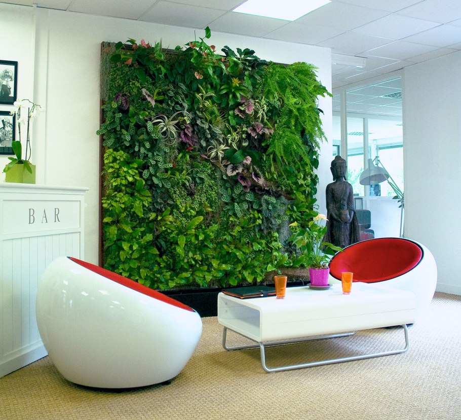 Green Sky фитостены