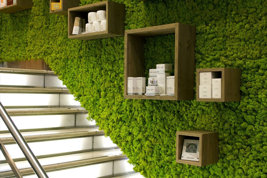 Фитостена из стабилизированного мха