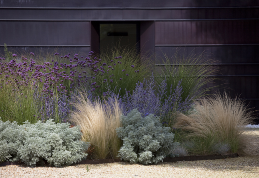 Цветник Лаванда,овсяница сизая