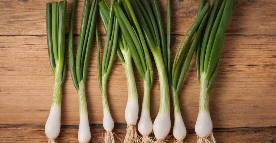 Лук репчатый Арзамасский