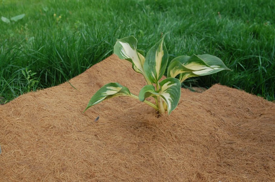 Укрывной материал Мульчаграм 75х300см