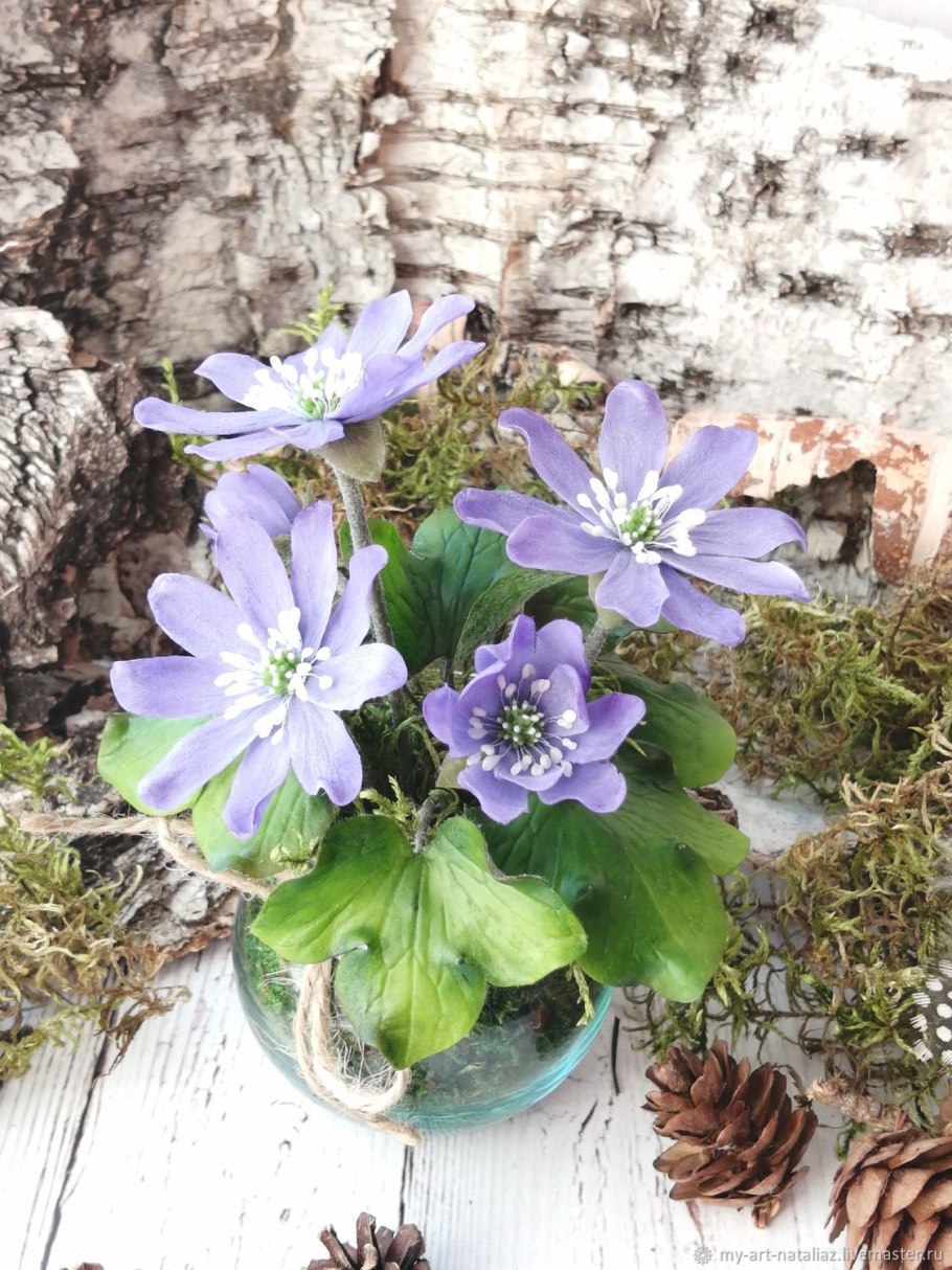Первоцвет печеночница букет