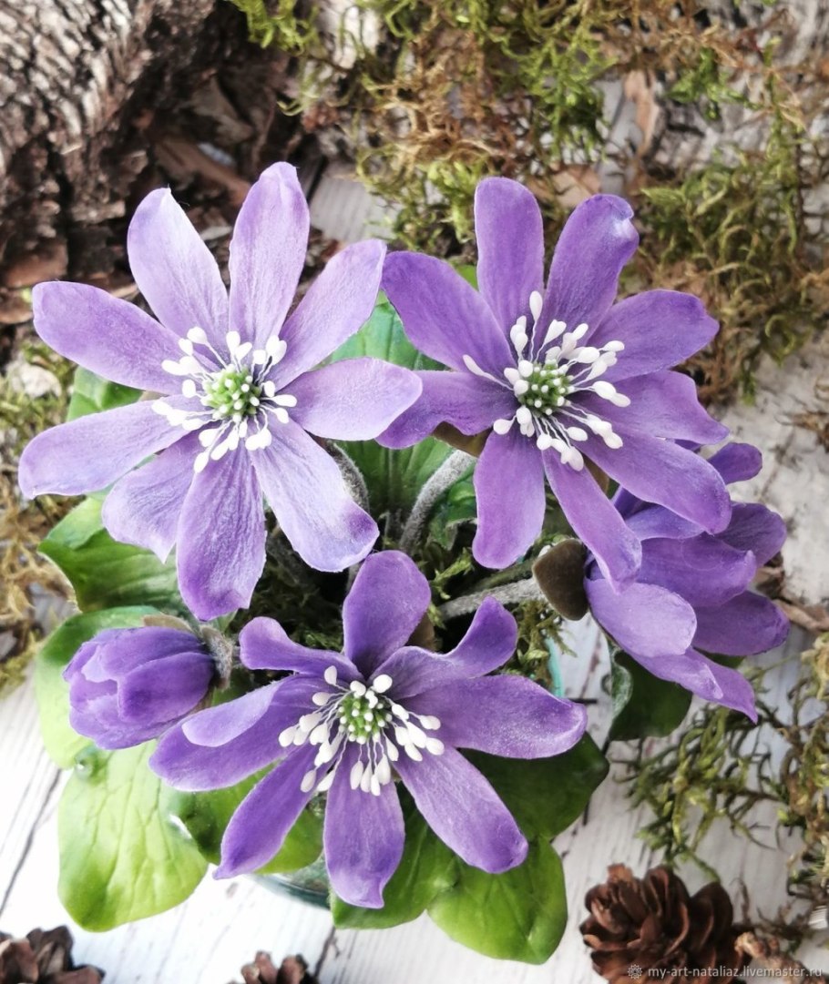 Неченичница благодарна