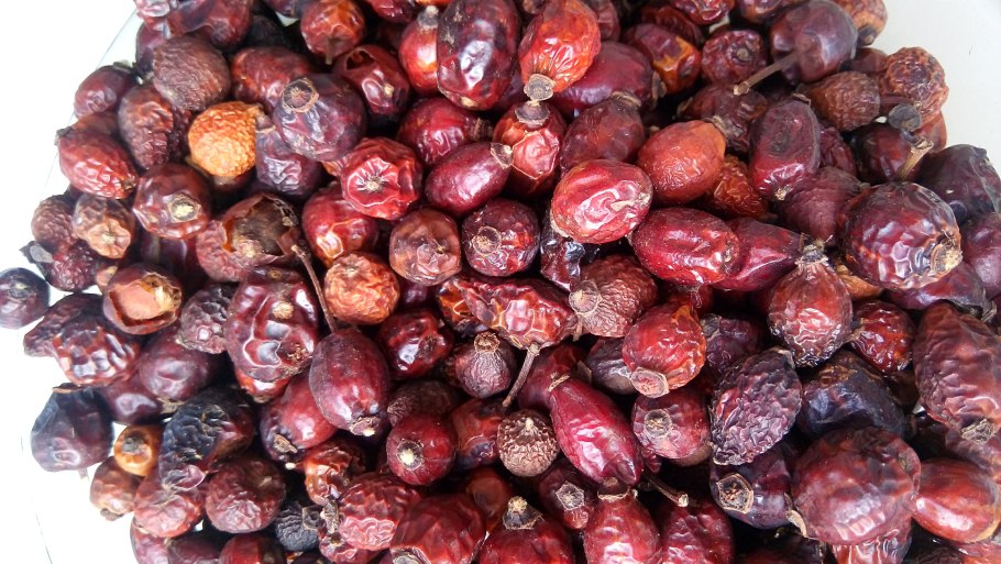 Шиповник 2011 Постер