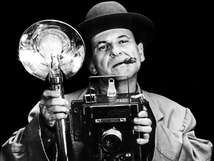 Цветы Плюмерия Франжипани