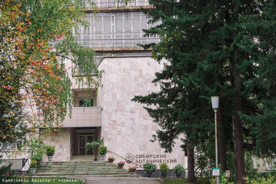 Врач и пациент