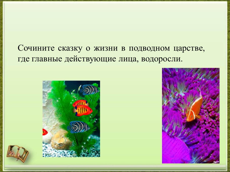 Посидония испанская