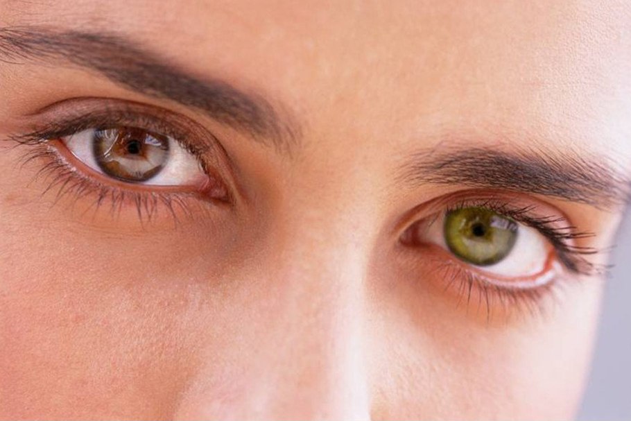 Осень листва