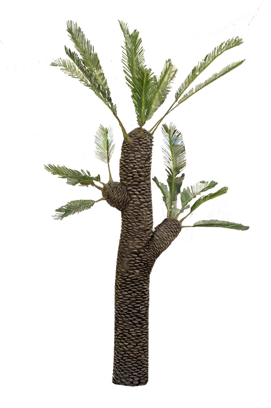 Саговниковые Триас