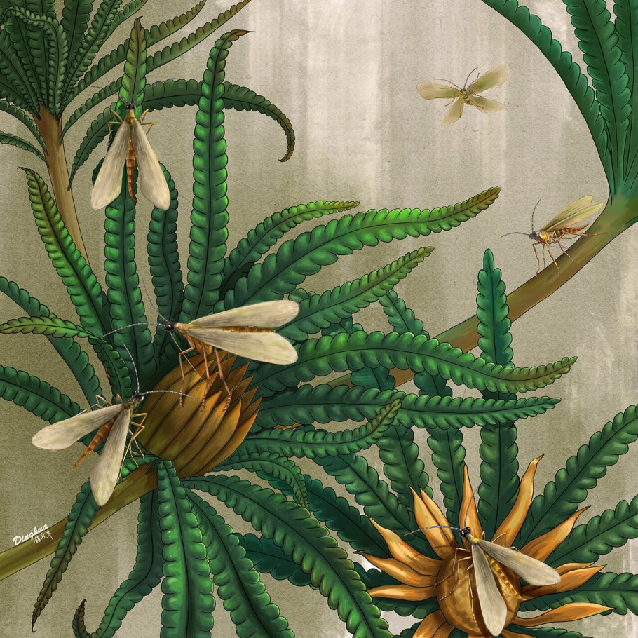 Цикадовые растения мезозоя