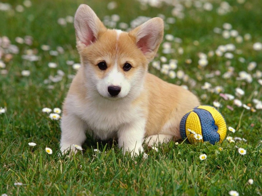 Затемнение снизу PNG