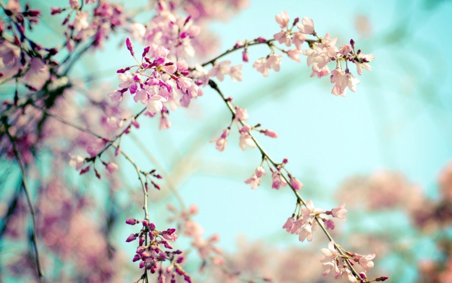 Удачного дня и хорошей дороги