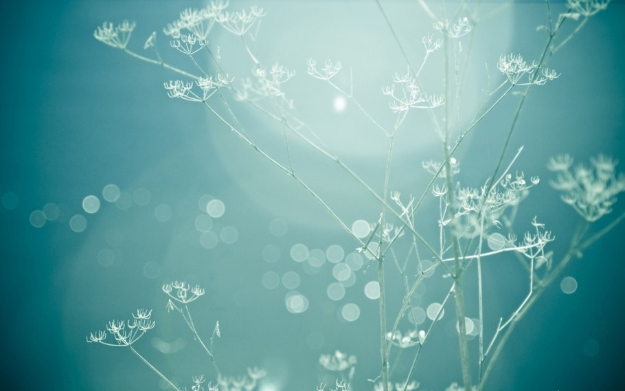 Фон в бирюзовых тонах