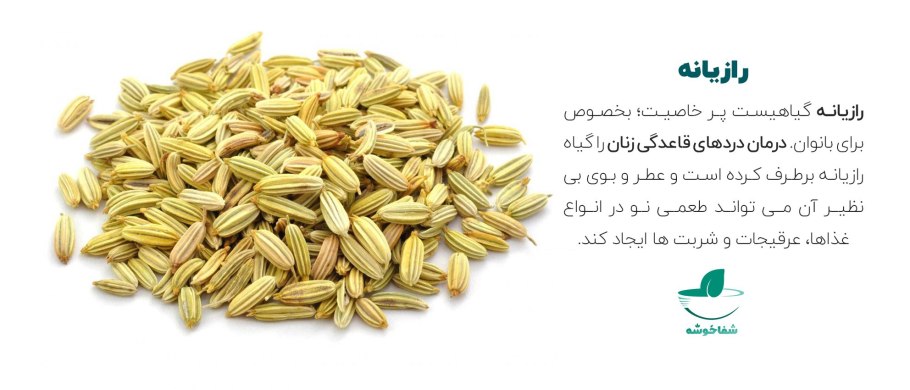 Род мосла растение